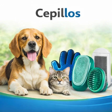 Cepillos