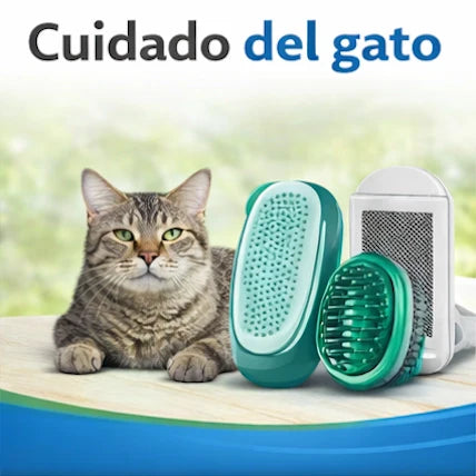 Cuidado del gato