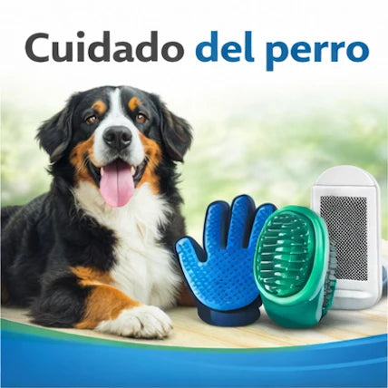 Cuidado del perro