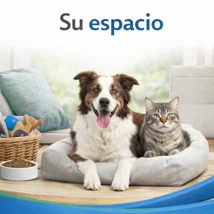 Su espacio