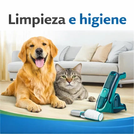 Limpieza e higiene
