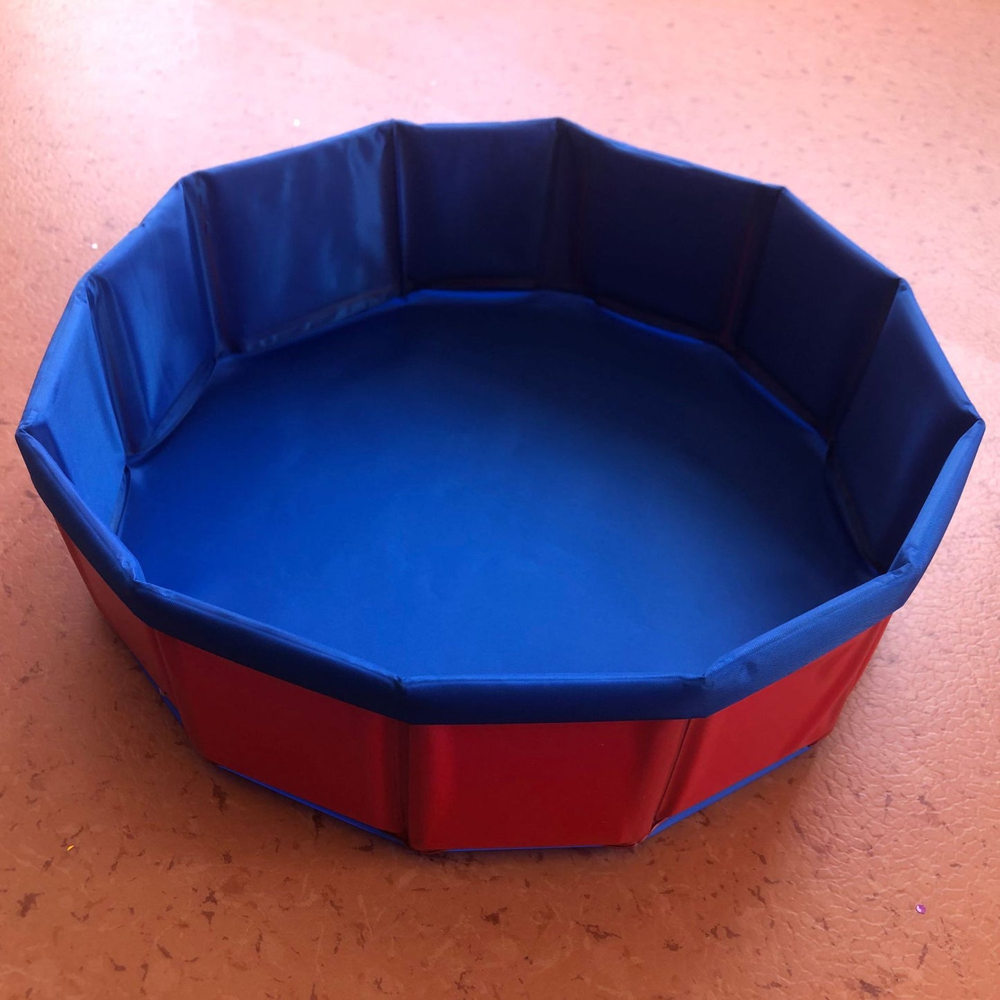 Piscina plegable para perros, arenero para gatos